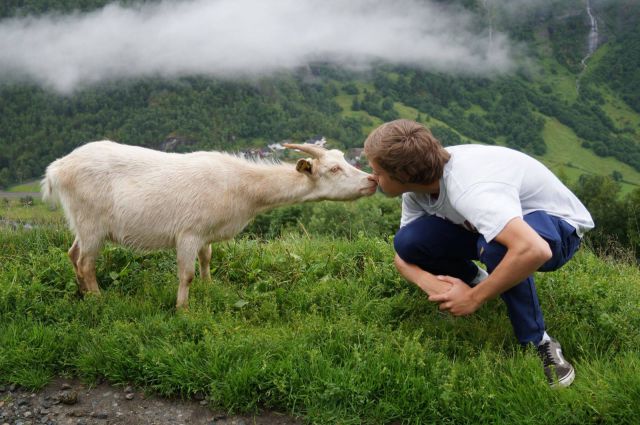 morning picdump 55 pics 54.html - 55 HD Photos | Premium Gallery 2014