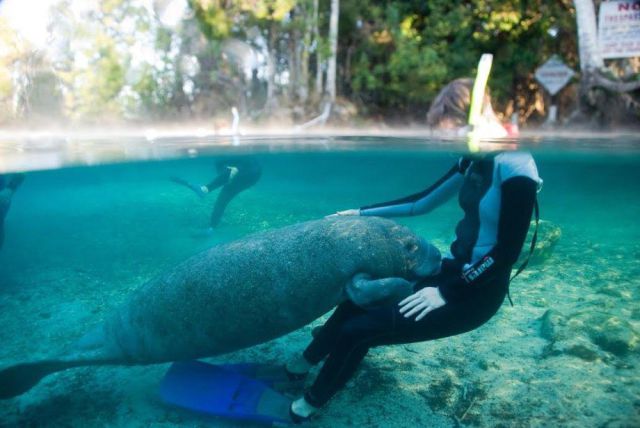 morning picdump 55 pics 54.html - 55 HD Photos | Premium Gallery 2014