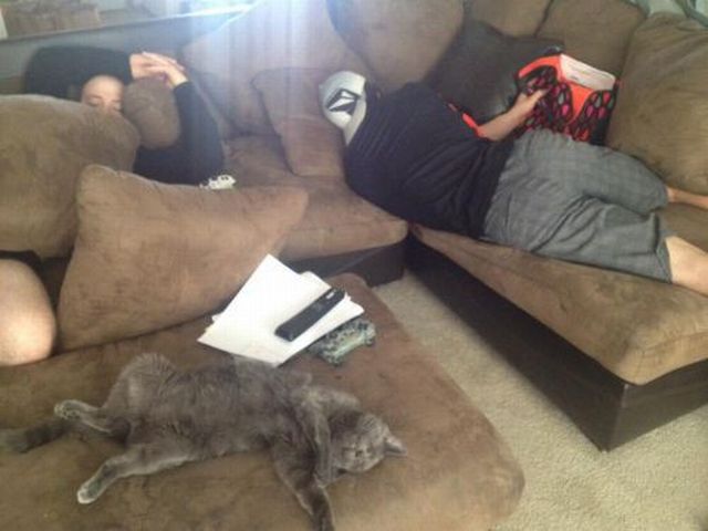 morning picdump 55 pics 54.html - 55 HD Photos | Premium Gallery 2014