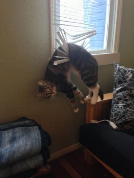 page,4,top 500 morning pics of the year 2014.html - 1 HD Photos | Premium Gallery 2014