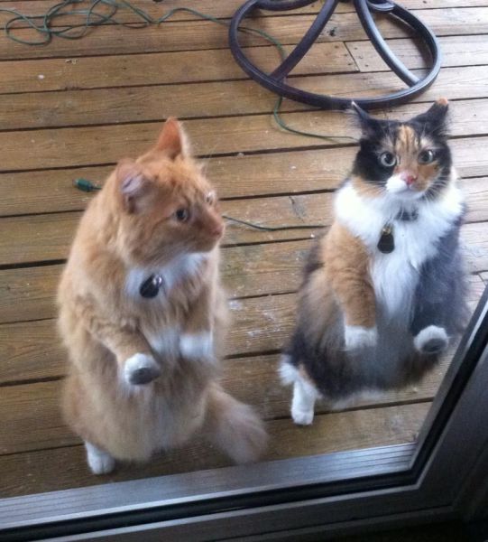 morning picdump 53 pics 21.html - 53 HD Photos | Premium Gallery 2014