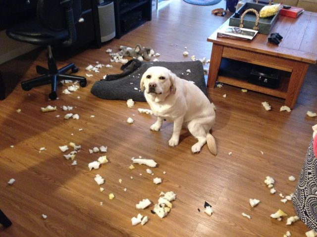 morning picdump 53 pics 21.html - 53 HD Photos | Premium Gallery 2014