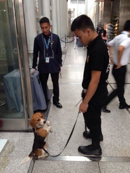 morning picdump 52 pics 12.html - 52 HD Photos | Premium Gallery 2014