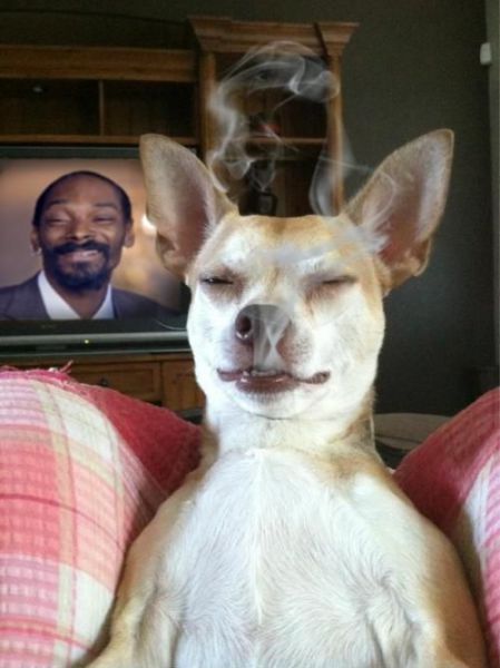 morning picdump 52 pics 12.html - 52 HD Photos | Premium Gallery 2014