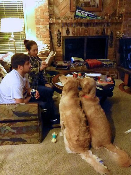 morning picdump 52 pics 12.html - 52 HD Photos | Premium Gallery 2014