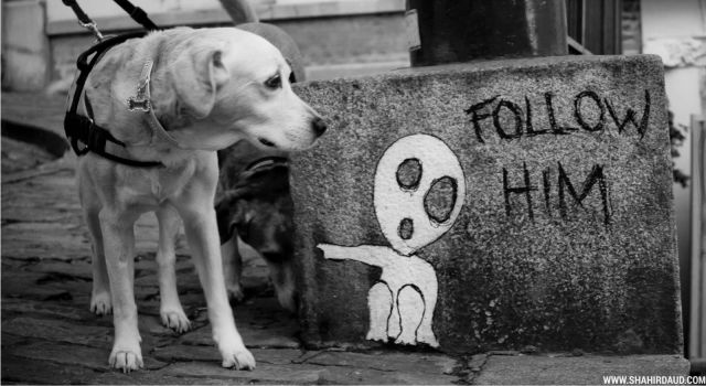 morning picdump 52 pics 12.html - 52 HD Photos | Premium Gallery 2014