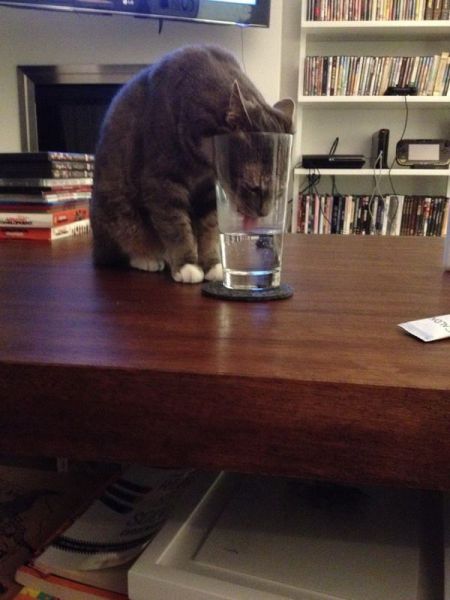 morning picdump 52 pics 12.html - 52 HD Photos | Premium Gallery 2014