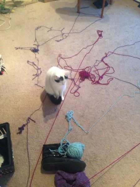 morning picdump 52 pics 12.html - 52 HD Photos | Premium Gallery 2014