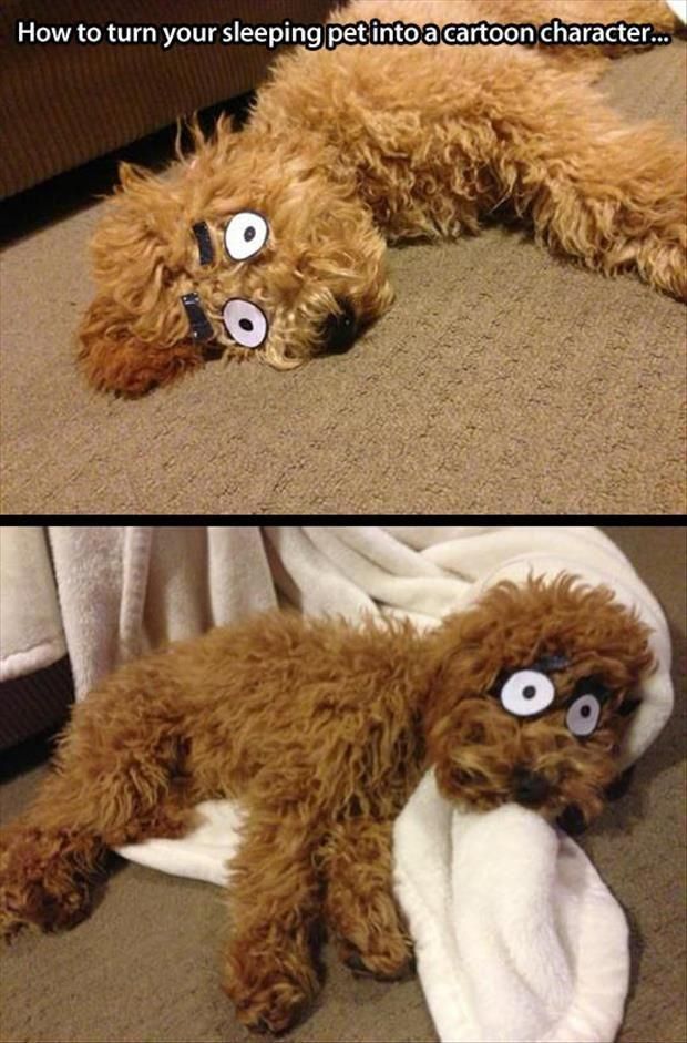 morning picdump 52 pics 12.html - 52 HD Photos | Premium Gallery 2014