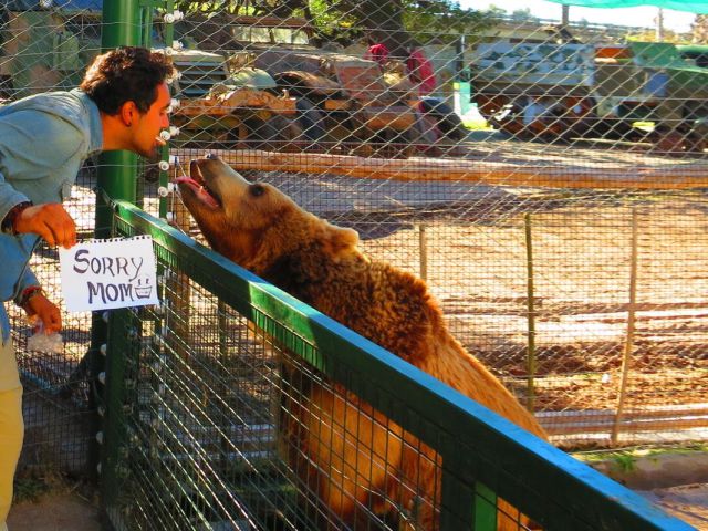 morning picdump 52 pics 2.html - 52 HD Photos | Premium Gallery 2014