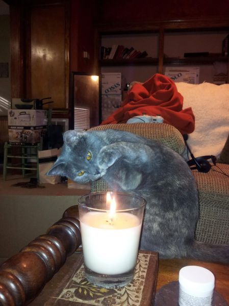 morning picdump 52 pics 2.html - 52 HD Photos | Premium Gallery 2014