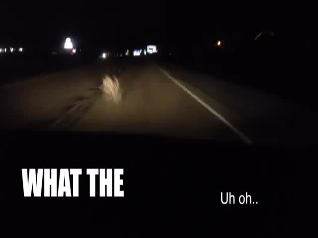 Girl Freaks Out While Driving through Tumbleweeds at Night (VIDEO)