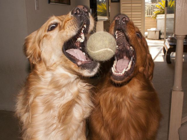 daily picdump 96 pics 9.html - 96 HD Photos | Premium Gallery 2014