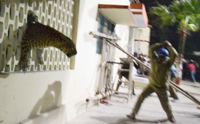 daily picdump 96 pics 9.html - 96 HD Photos | Premium Gallery 2014