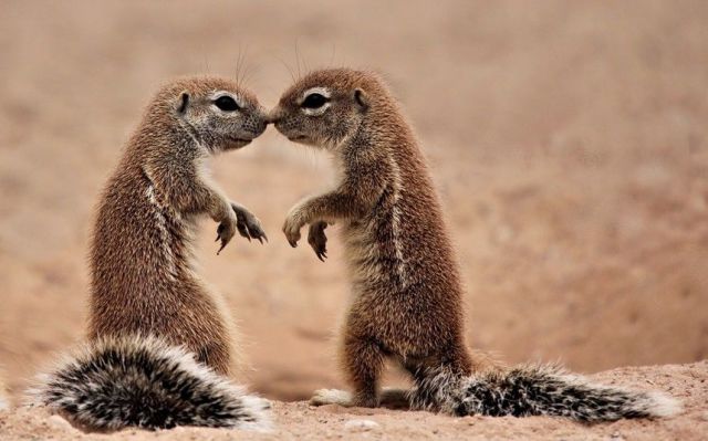 daily picdump 96 pics 9.html - 96 HD Photos | Premium Gallery 2014