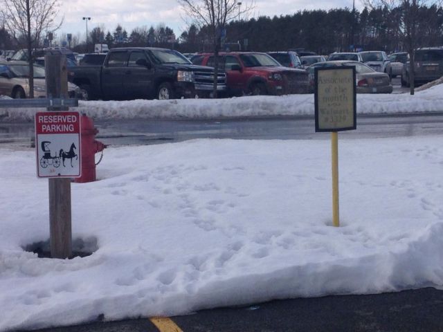 morning picdump 53 pics 21.html - 53 HD Photos | Premium Gallery 2014