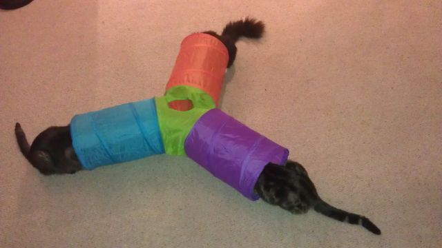 morning picdump 53 pics 21.html - 53 HD Photos | Premium Gallery 2014