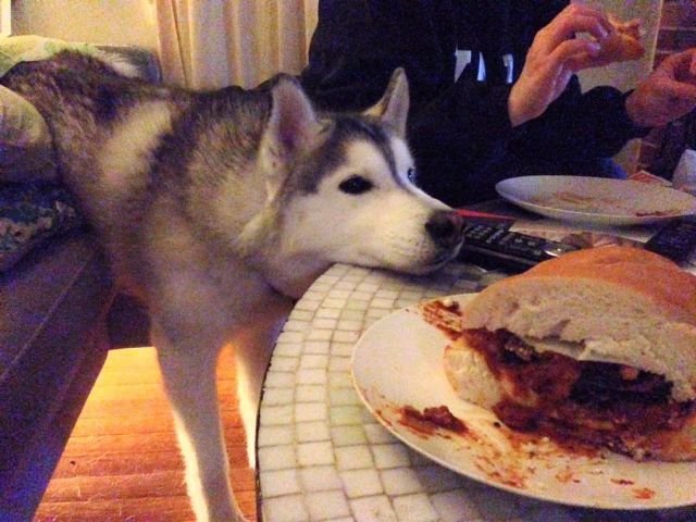 morning picdump 53 pics 21.html - 53 HD Photos | Premium Gallery 2014