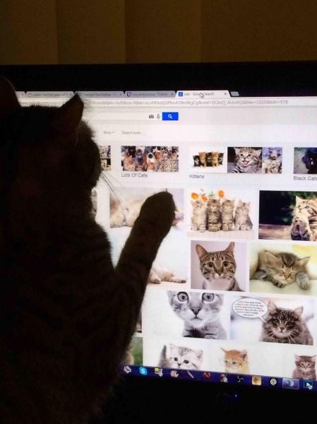 morning picdump 53 pics 21.html - 53 HD Photos | Premium Gallery 2014