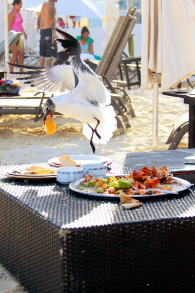 morning picdump 53 pics 21.html - 53 HD Photos | Premium Gallery 2014