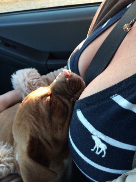 daily picdump 96 pics 4.html - 96 HD Photos | Premium Gallery 2014