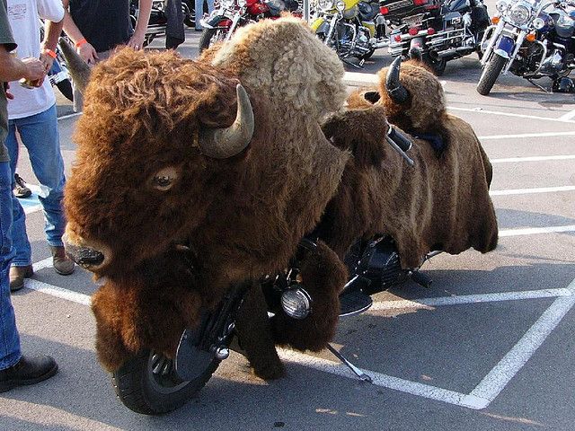 daily picdump 96 pics 4.html - 96 HD Photos | Premium Gallery 2014