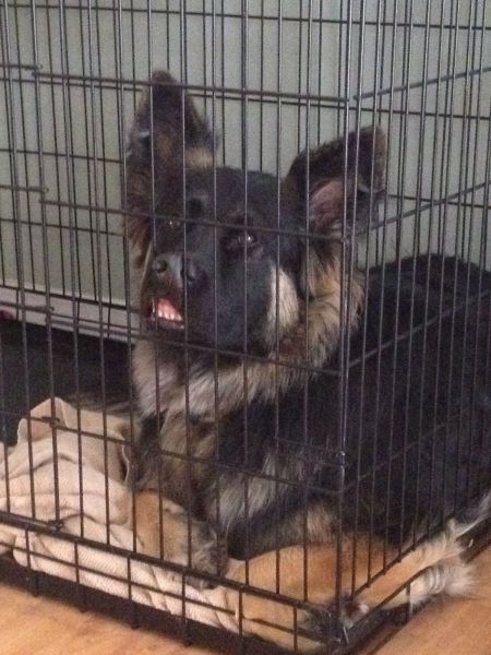 daily picdump 96 pics 4.html - 96 HD Photos | Premium Gallery 2014