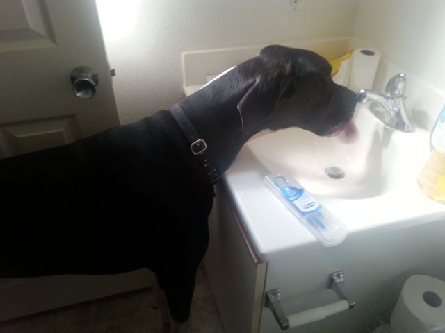 daily picdump 96 pics 4.html - 96 HD Photos | Premium Gallery 2014