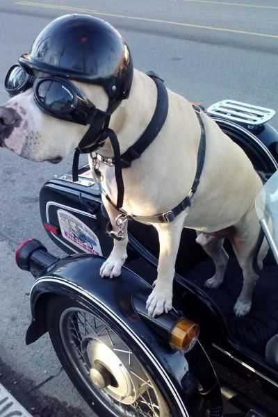 daily picdump 96 pics 4.html - 96 HD Photos | Premium Gallery 2014