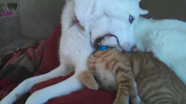 daily picdump 96 pics 4.html - 96 HD Photos | Premium Gallery 2014