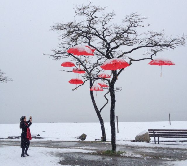 daily picdump 96 pics 4.html - 96 HD Photos | Premium Gallery 2014