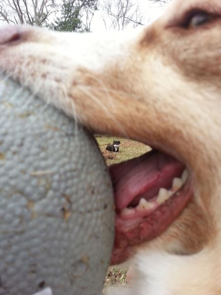 daily picdump 96 pics 4.html - 96 HD Photos | Premium Gallery 2014