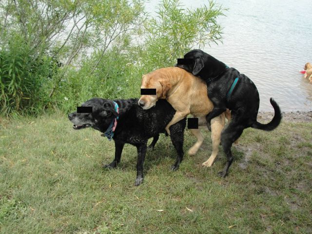 morning picdump 54 pics 10.html - 54 HD Photos | Premium Gallery 2014