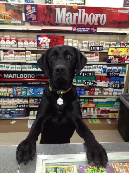 morning picdump 54 pics 10.html - 54 HD Photos | Premium Gallery 2014