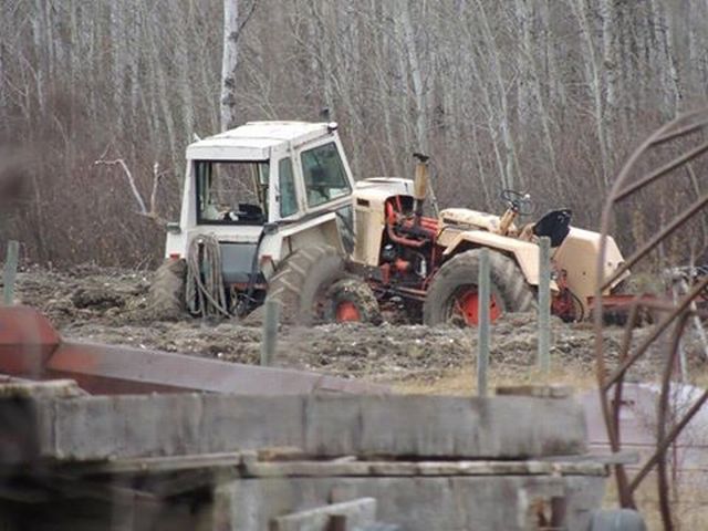 morning picdump 54 pics 10.html - 54 HD Photos | Premium Gallery 2014