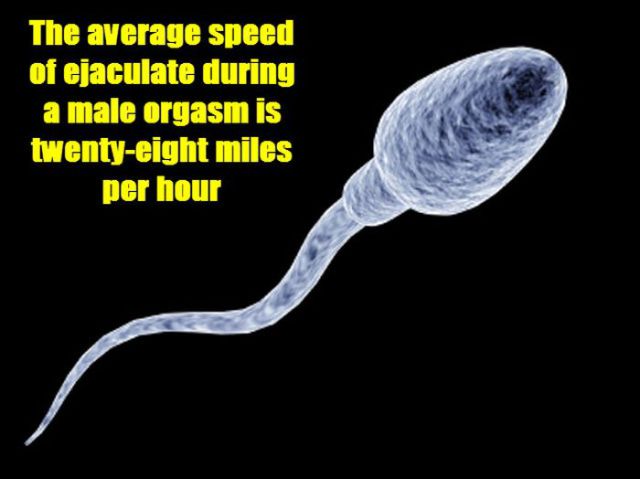 Simple and Scientific Facts about Sex