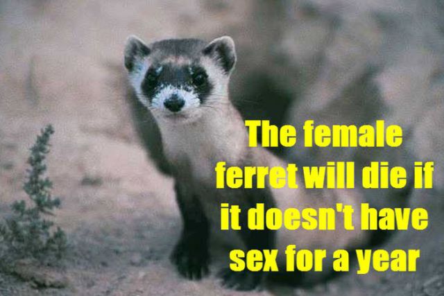 Simple and Scientific Facts about Sex