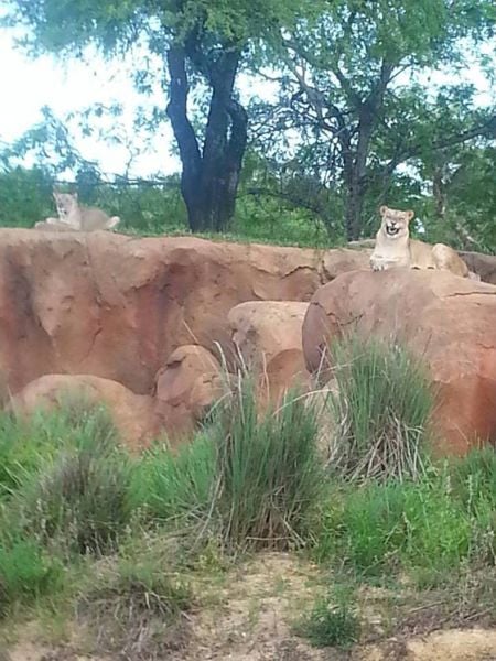 morning picdump 51 pics 9.html - 51 HD Photos | Premium Gallery 2014