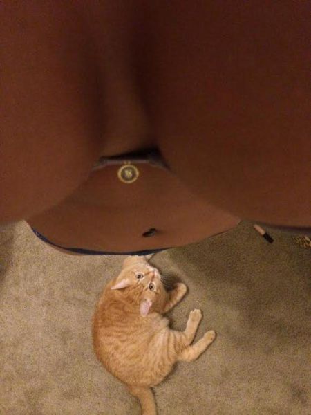 grownup corner 33 pics 9 gifs 6.html - 33 HD GIF | Premium Gallery 2014