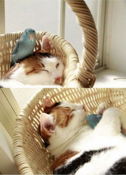 morning picdump 50 pics 4.html - 50 HD Photos | Premium Gallery 2014