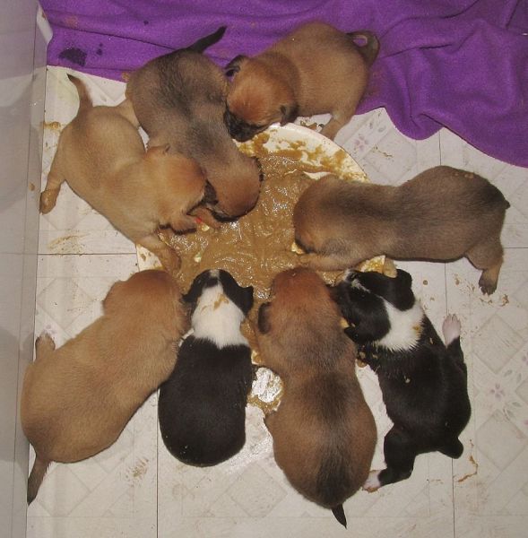 morning picdump 51 pics 1.html - 51 HD Photos | Premium Gallery 2014