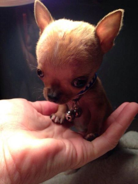 morning picdump 51 pics 1.html - 51 HD Photos | Premium Gallery 2014