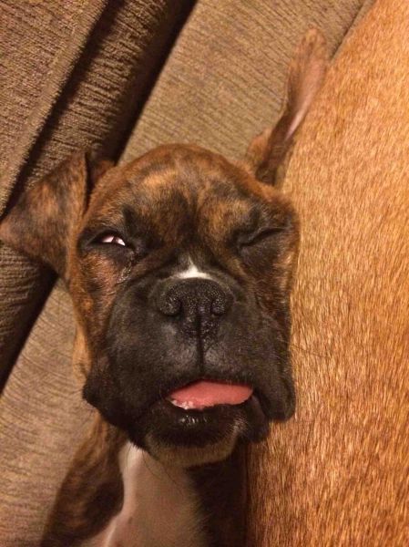 morning picdump 51 pics 1.html - 51 HD Photos | Premium Gallery 2014