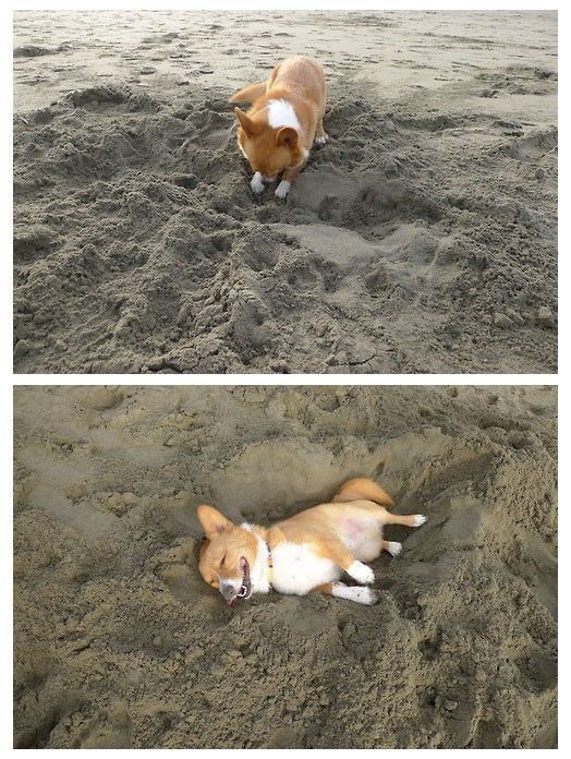 morning picdump 51 pics 1.html - 51 HD Photos | Premium Gallery 2014