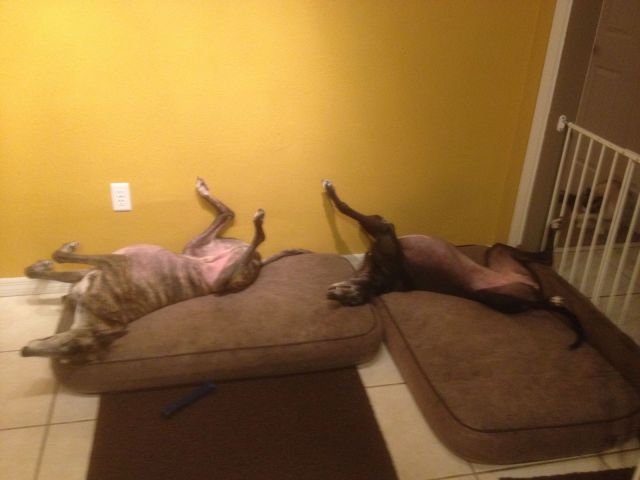 morning picdump 51 pics 1.html - 51 HD Photos | Premium Gallery 2014