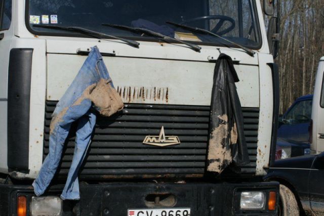 morning picdump 52 pics 19.html - 52 HD Photos | Premium Gallery 2014