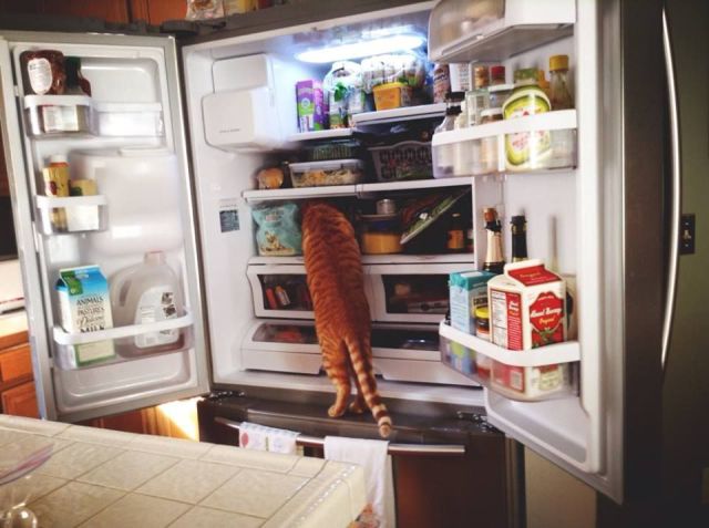 morning picdump 52 pics 19.html - 52 HD Photos | Premium Gallery 2014