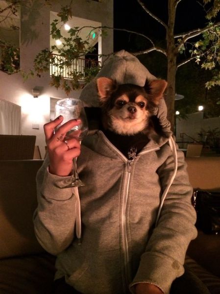 morning picdump 52 pics 19.html - 52 HD Photos | Premium Gallery 2014