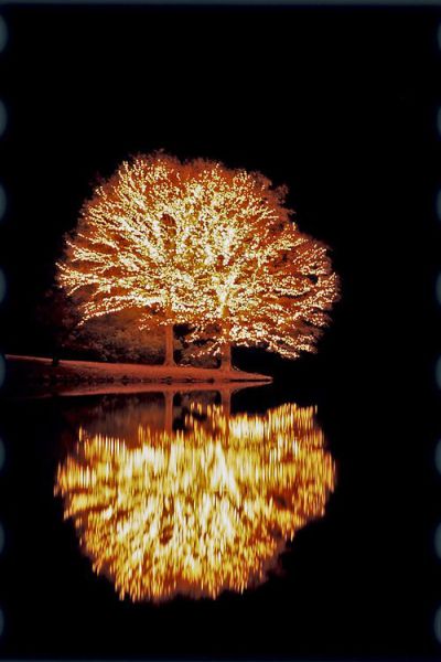 morning picdump 52 pics 19.html - 52 HD Photos | Premium Gallery 2014