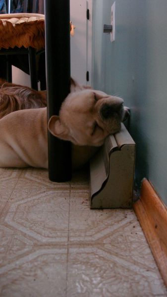 morning picdump 52 pics 19.html - 52 HD Photos | Premium Gallery 2014